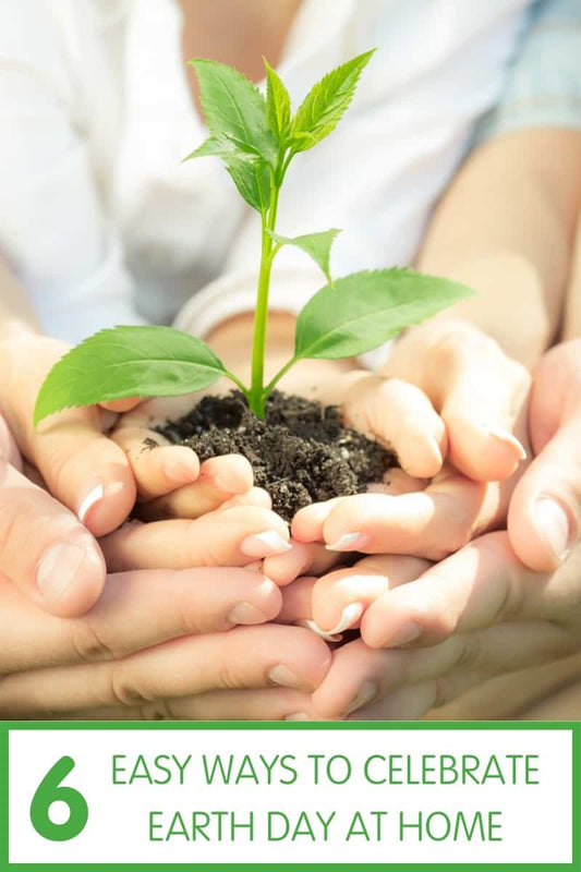 Easy Tips to Celebrate Earth Day At Home