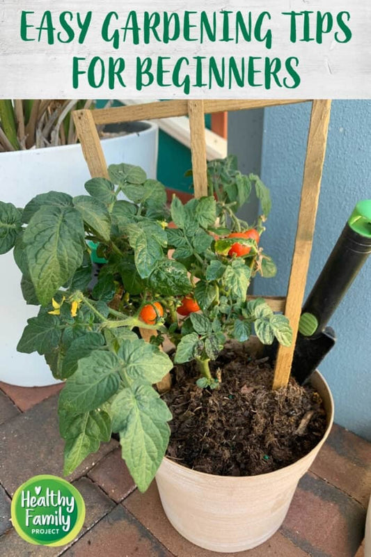 Gardening Tips for Beginners