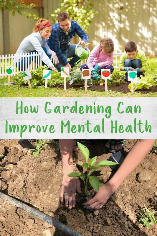 How Gardening Can Improve Mental Health