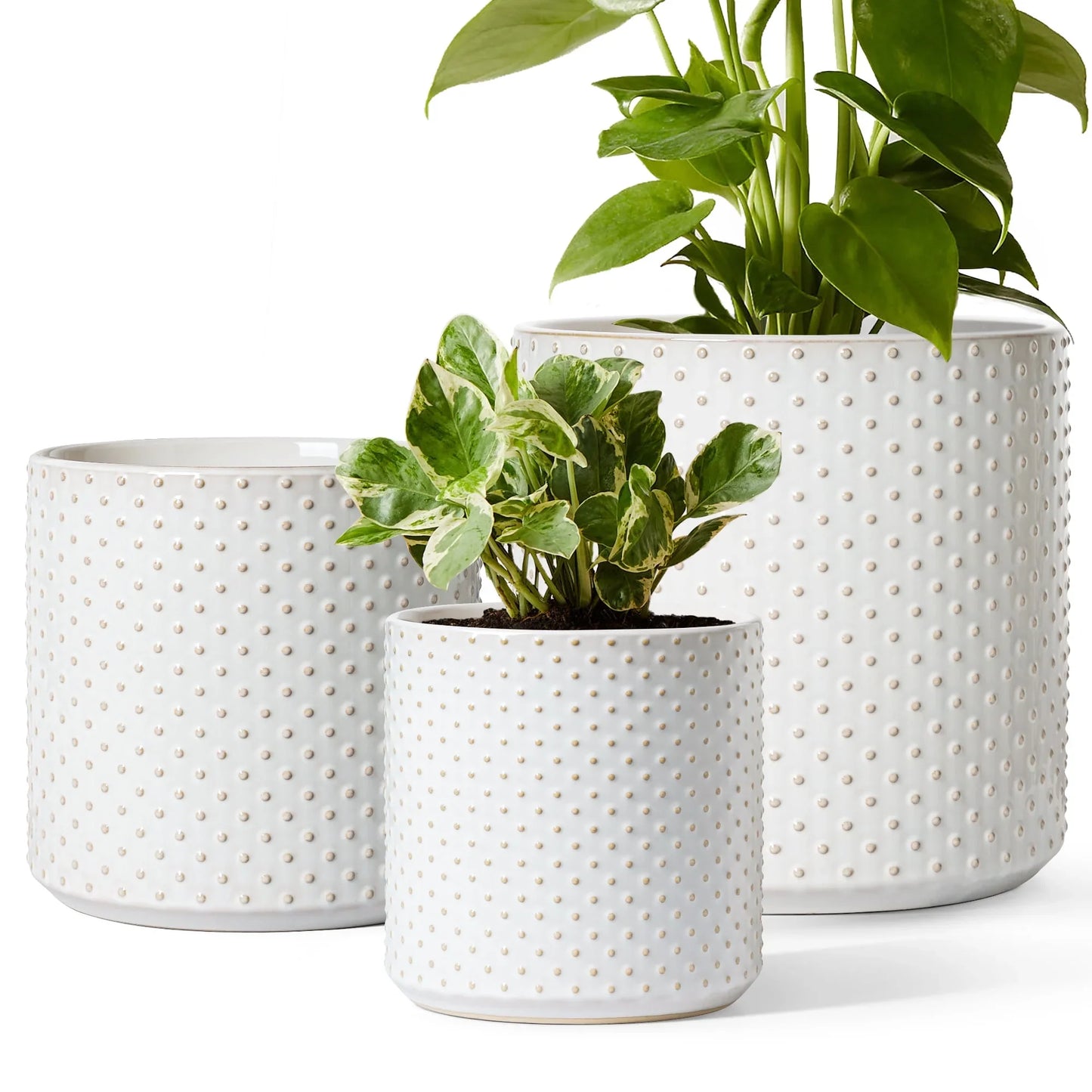Ceramic Flower Pots for Plants