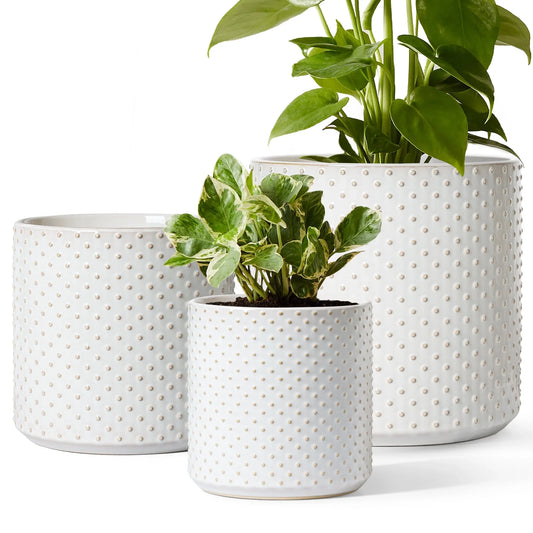 Ceramic Flower Pots for Plants